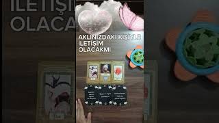 WHATSAPP 05411042179 1k tarot tarotacilimi açılım tarotreading frekans tarotcards destesec [upl. by Arodasi]