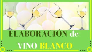 ELABORACIÓN de VINO BLANCO🥂EXPLICADO✅Curso de Vinos🍷 [upl. by Guise]