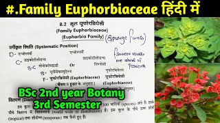 Family Euphorbiaceae in Hindi  BSc 2nd year Botany Third Semester [upl. by Ardni]