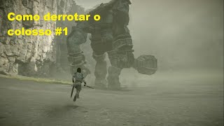 SHADOW OF THE COLOSSUS PS4  COMO MATAR O PRIMEIRO COLOSSO [upl. by Hacker107]