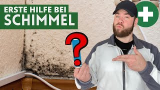 Schimmel in der Wohnung  Dieses Hausmittel kann dich schützen [upl. by Drucilla211]