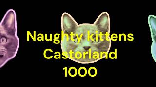 Puzzle Time Lapse Naughty kittens Castorland 500 [upl. by Prosser777]