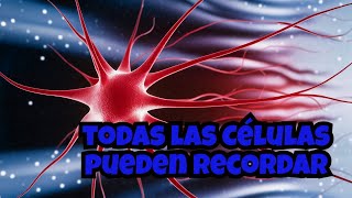 Células con memoria La nueva esperanza contra el cáncer [upl. by Eran]