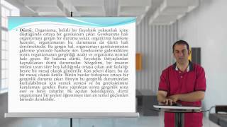 EĞİTİM PSİKOLOJİSİ 01 HAFTA 2 BÖLÜM VİDEO [upl. by Oigufer]