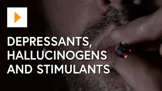 Drug Awareness Depressants Hallucinogens And Stimulants [upl. by Eseeryt]