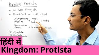 Kingdom Protista in Hindi [upl. by Marabelle791]