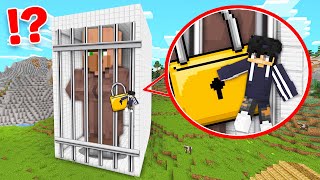 I Trapped GIANT Villager in 100 Safe Prison in Minecraft [upl. by Aronel]