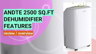 ANDTE 2500 SqFt Dehumidifier Review Efficient Moisture Control for Your Home [upl. by Ailime]