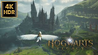 4K HDR Relaxed Hippogriff Flying Around Hogwarts Legacy Map  Ray Tracing PS5 [upl. by Scevor]