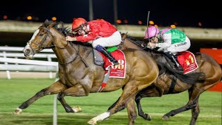 SPIRIT DANCER wins the 2024 Bahrain International Trophy G2 [upl. by Durante435]