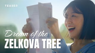 Dream of the Zelkova Tree  TV drama series  Official Trailer NTD Original [upl. by Ennailuj946]