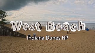 West Beach at Indiana Dunes National Park [upl. by Aynotak]