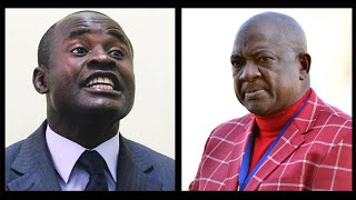 Temba Mliswa mocks Philip Chiyangwa says quotipaint yaperaquot [upl. by Hcardahs94]