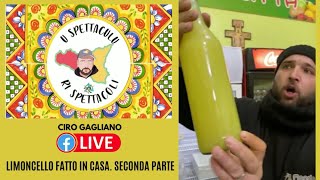 Limoncello fatto in casa seconda parte [upl. by Marcia976]