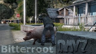 DayZ BITTERROOT 012  Einfach Mal Raushalten Und Zuschauen  Deutsch Gameplay [upl. by Eicarg]