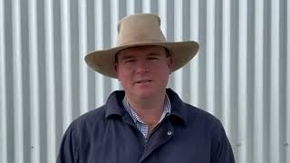 Inverell Cattle Market Report 9724 [upl. by Austin]