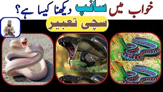 Khwab mein saanp dekhna 🐍 snake dream meaning  khwab mein saanp ko daste dekhna  Rohani Roshni [upl. by Iuq]