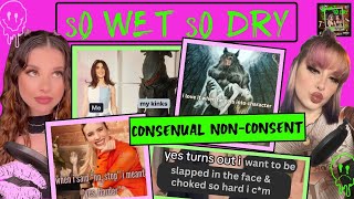 consensual nonconsent kinks cnc are you normal or is there a screw loose video essay [upl. by Eneloc]