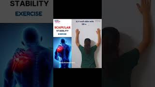 Scapular Stability Exercises [upl. by Bergin]