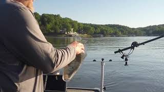 Does Line Size Matter Pulling Crankbaits for Crappie [upl. by Attenahs511]