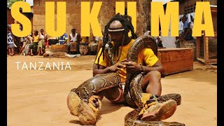 Tanzania  Python Sukuma dance [upl. by Ferri]