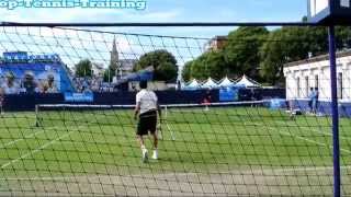 Milos Raonic Serving 2013 HD [upl. by Jen]