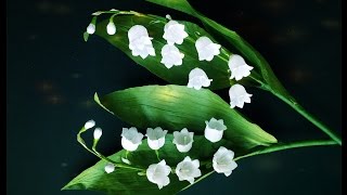 Lily Of The Valley From Crepe Paper  Craft Tutorial [upl. by Langelo822]