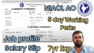 NIACL AO Job Profile amp Salary amp Perks [upl. by Mallorie87]