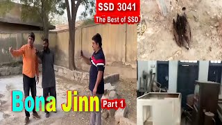 SSD 3041  Bona Jinn  Part 1 [upl. by Maddi]