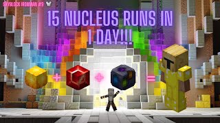 This is What 15 Nucleus Runs Gets you Hypixel Skyblock ironman ep 9 [upl. by Aela811]