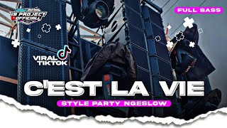 DJ CEST LA VIE VIRAL TIKTOK STYLE PARTY NGESLOW [upl. by Zulch]