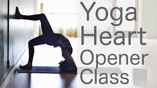 Vinyasa Flow Yoga for Opening Your Heart [upl. by Etnaid307]