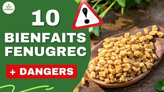 FENUGREC  SES DANGERS ET BIENFAITS POUR LA SANTE [upl. by Yetta299]