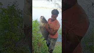 எம்மா ஆள் sikeku மீன் fishing fishingvideo fish fishingvideos fishingshorts catla rohu [upl. by Malissa]