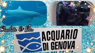 vlog acquariodigenova [upl. by Rossuck]