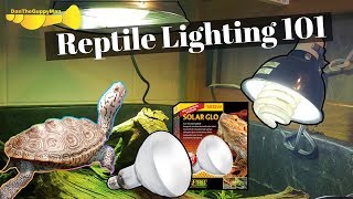 ULTIMATE TurtleTortoise Light and Heating Guide [upl. by Binnings636]