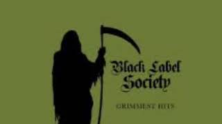 Illusions of Peace  Black Label Society [upl. by Aras552]