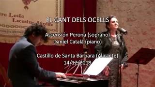 EL CANT DELS OCELLS Ascensión Perona Daniel Catalá 14122018 Sons de Nadal [upl. by Aineg]