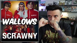 First Reaction To Wallows  Scrawny [upl. by Shanly]