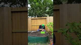 Gardening for Worldwide Suicide Prevention Week ￼ [upl. by Layney]