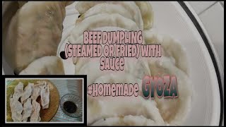 PAANO GUMAWA NG GYOZA DUMPLING howto [upl. by Nytsirc890]