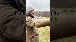 Thema Schleppleine hundetraining hundeerziehung [upl. by Danielson]