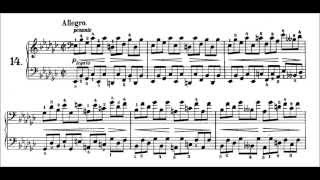 Chopin Prelude Op28 No14 in E flat Minor Allegro Pogorelich [upl. by Sprage704]