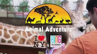 Animal Adventure Park  Harpursville NY [upl. by Courtland]