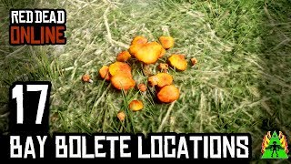 Red Dead Redemption 2 ONLINE  BAY BOLETE LOCATIONS [upl. by Anetta]