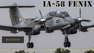 IA58 Fénix La nueva vida del Pucará [upl. by Thursby136]