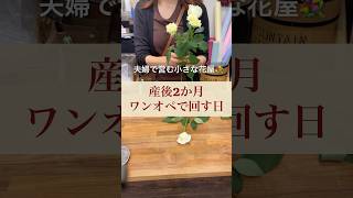 【花屋の仕事】仕入れがないゆったりめの1日 花屋 花屋の日常 花屋vlog shorts [upl. by Mara]