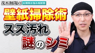 壁紙のスス汚れと謎のガンコシミを落とす方法とは？洗濯機の防水パンの掃除法とは？ [upl. by Prestige962]