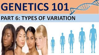 GENETICS 101 Part 6 Types of VariationCXC Biology Tutor [upl. by Giule]