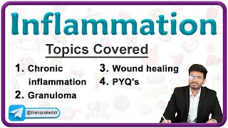 Chronic Inflammation  Wound Healing amp Granuloma  Pathology Lecture 4 [upl. by Joel]